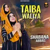 About Taiba Wallya Song