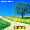 About Hare Song
