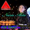 About Ate Tinjot Song