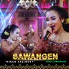 About Sawangen Song