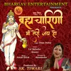 About Brahmacharini Maa Teri Jai Ho Song