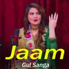 About Jaaam Song