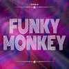 About Funky Monkey Song