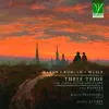 Trio for Flute, Cello and Piano in D Major, Hob. XV: 16 : I. Allegro