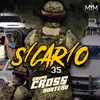 About Sicario 35 Song