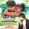 About Dil Me Utar Gaya Hai Samundar Khumar ka Song