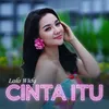 About Cinta Itu Song