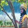 About Hey Kanha Song