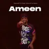 About Ameen Song