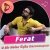 About O Bir Nəfər Üçün Darıxmışam Song