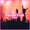 About Electro Funk Song