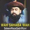 About Wah Sahaba Wah Song