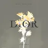 About Dior Song