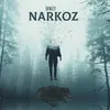 About Narkoz Song