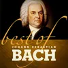 Violin Concerto in G Minor, BWV 1056 (restored from Harpsichord Concerto in F Minor, BWV 1056): II. Largo