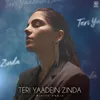 About Teri Yaadein Zinda Song