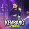 Kembang