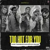 About Too hot for you Song