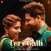 About Teri Galli Song