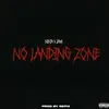 About No Landing Zone Song