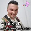 About Hoț de doruri nepurtate Song