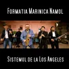 About Sistemul de la Los Angeles Song