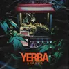 About YERBA Song