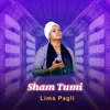 About Sham Tumi Song