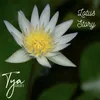 Lotus Story