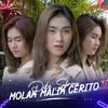About Molak Malik Cerito Song