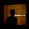 About Zopfgummi Song