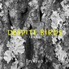 About Despite Birds Song