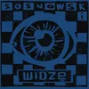 About Widzę Song