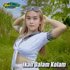 Ikan Dalam Kolam