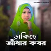 About Dakiche Andhar Kobor Song