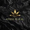 About Still D.R.E Song