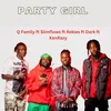 About Party Girl Song