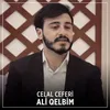 Ali Qelbim