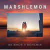 About Mi Amor x Bohemia Song