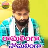 About Ramalinga Somalinga Song