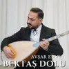About Avşar Elleri Song