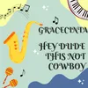 About HEY DUDE THIS NOT COWBOY Song