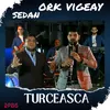 About Turceasca Song