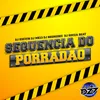About SEQUENCIA DO PORRADÃO Song