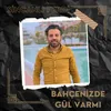 Bahçenizde Gül Varmı