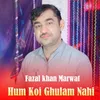 About Hum Koi Ghulam Nahi Song