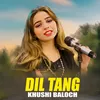 About Dil Tang Song