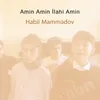 About Amin Amin İlahi Amin Song