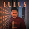 About TULUS Song