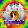 Corgi